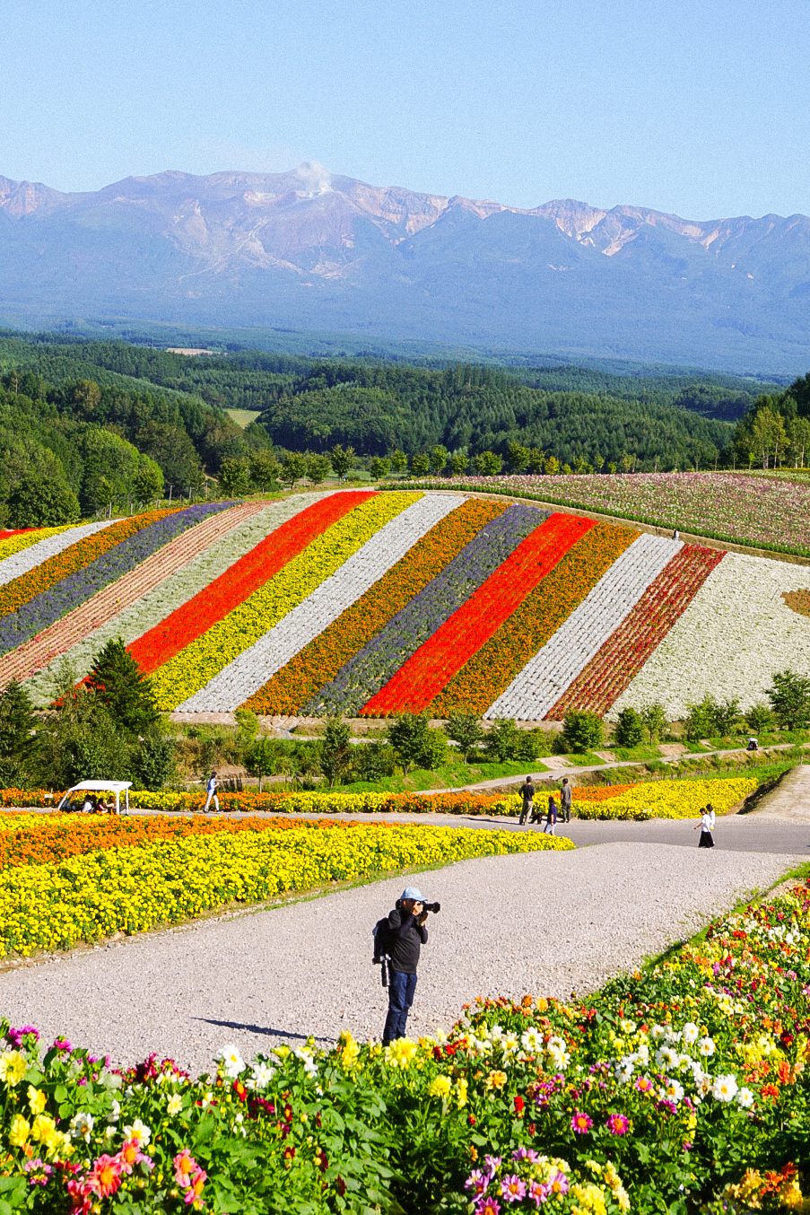 landscape